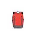 Travelite Handgepäck Rucksack für Reise, Freizeit und Sport, Gepäck Serie BASICS Daypack: Kompakter travelite Rucksack, 096290-10, 35 cm, 14 Liter, Rot/Grau