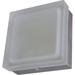 Ebern Designs Skyler 2 - Light 9" Simple Square Flush Mount Glass in White | 3.15 H x 9 W x 9 D in | Wayfair 95CA1797CFCA4A1F900D691482F09D51