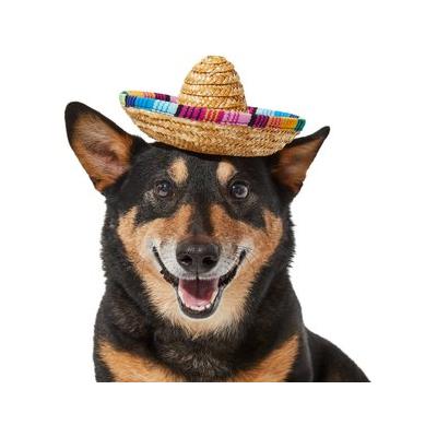 Frisco Dog & Cat Sombrero Hat, Medium/Large
