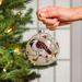 The Holiday Aisle® 2 Piece Cardinal & Chickadee Glass Ball Ornament Set Plastic in Red | 4 H x 4 W x 4 D in | Wayfair