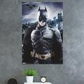 Trends International Dark Knight Rises - Crusader Paper Print in Black | 34 H x 22.375 W x 0.125 D in | Wayfair POD5687