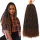 Passion Twist Hair 7 Packs/Lot 18 Inch Water Wave Crochet for Passion Twists Long Bohemian Hair Braiding ShowJarlly Passion Twist Crochet Hair Braids Synthetic Hair Extensions (T1B#30)