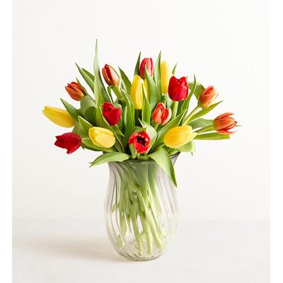 1-800-Flowers Seasonal Gift Delivery Our Favorite Fall Tulips 15 Stems W/ Clear Vase | Perfect Gift For Any Occasion