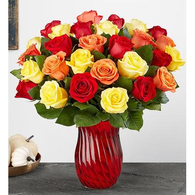 1-800-Flowers Flower Delivery Autumn Rose Bouquet 36 Stems W/ Red Vase