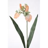 Primrue Sonia Celedon Large Iris, Synthetic | 31.25 H x 5 W x 5 D in | Wayfair DW-987-SOCD