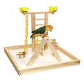 Featherland/Paradise Acrobird Wooden Playground Wood in Brown | 22 H x 20 W x 20 D in | Wayfair PG20