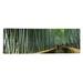 Ebern Designs Panoramic Stepped walkway passing through a bamboo forest, Arashiyama, Kyoto Prefecture, Kinki Region, Honshu | Wayfair