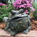 HomeStyles Toad Hollow Classic "Lou" Garden Statue Concrete/Stone in Green | 7 H x 10 W x 9 D in | Wayfair 99810