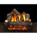 American Gas Log Cheyenne Glow Vented Propane/Natural Gas Fireplace Log Set in White | 20 H x 42 W x 14 D in | Wayfair CG-30-PSS101RC-S-DBL