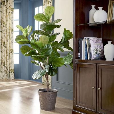 Bunny Williams Faux Fiddle Leaf Fig Tree - 5' - Ballard Designs