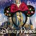 Disney Other | Minnie Ears Disney Park | Color: Black | Size: Os