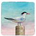 Highland Dunes Royal Tern Coaster, Rubber in Blue | 0.1 H x 4 D in | Wayfair 1D6D8C8C65F348B69ACC63DDAF484201
