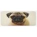 Brown 0.1 x 19 W in Kitchen Mat - East Urban Home Photograph Of A Pug Pure Bred Puppy w/ A Loose Collar Dog Pets Animal Pale Black Kitchen Mat Synthetics | Wayfair