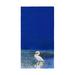 Highland Dunes Rossignol Mute Swan Beach Towel Polyester in Blue | 0.25 H in | Wayfair A0AFDB58AD064C7D91CD42FFF1934972