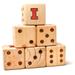 Illinois Fighting Illini Yard Dice Game