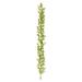 The Holiday Aisle® 6' The Holiday Aisle Lime Glitter Berry Garland Outdoor | 15.5 H x 72 W x 5.5 D in | Wayfair 22CA8CE241A2403ABB195001E7838300