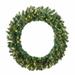 The Holiday Aisle® Mixed Brussels Pine 60" Lighted PVC Wreath Traditional Faux in Green/White | 60 H x 60 W x 3 D in | Wayfair