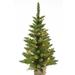 The Holiday Aisle® Pre-Lit Tabletop 3' Green Pine Artificial Christmas Tree with 50 Clear/White Lights in Green/White | 36 H x 20 W in | Wayfair