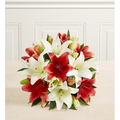 1-800-Flowers Seasonal Gift Delivery Holiday Lily Bouquet + Free Vase 7 Stems, Bouquet Only