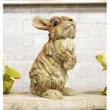 Ophelia & Co. Griffiths Standing Rabbit Statue Resin/Plastic in Brown | 9.75 H x 6.25 W x 5.25 D in | Wayfair FE62546B7AE14470A515C52642D7C175
