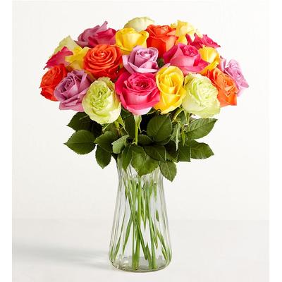 1-800-Flowers Flower Delivery Two Dozen Assorted Roses + Free Vase W/ Free Clear Vase | Happiness Delivered To Their Door