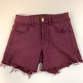 American Eagle Outfitters Shorts | Aeo American Eagle Short Shorts Size 0 Hi Rise | Color: Purple | Size: 0
