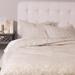 Ophelia & Co. Edmonds Ivory Standard Cotton Duvet Cover Cotton in White | Queen Duvet Cover | Wayfair 642033723DDE4CA1BD46A3B1B62F8288