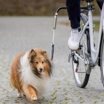 Trixie Biker Set de Luxe Dog Walking Accessories