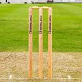 FORTRESS Wooden Cricket Stumps [ICC Regulation] – Club & County Senior Stumps (County Stumps, Senior (28in))