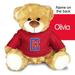Red LA Clippers Personalized 10'' Plush Bear