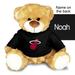 Black Miami Heat Personalized 10'' Plush Bear