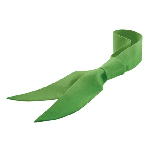 Exner 107 - Servicekrawatte : lemon green 65% Polyester 35%Baumwolle 220 g/m² Image