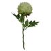 Ophelia & Co. Peony Stem Polyester/Fabric in Green | 18.1 H x 6.3 W x 6.3 D in | Wayfair OPCO2554 39830480