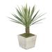 Winston Porter Artificial Yucca Desk Top Plant in Planter Wood/Plastic in White | 19 H x 14 W x 14 D in | Wayfair HF0510-W