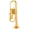 Schagerl Wien 2021 Bb- Trumpet