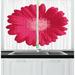 East Urban Home 2 Piece Gerber Daisy Close Up Drawing of Feminine Pinkish Flower Petal Kitchen Curtain Set | 39 H x 55 W x 2.5 D in | Wayfair