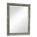 Birch Lane™ Deitrich Coastal Beveled Dresser Mirror in Gray | 41 H x 33 W x 2 D in | Wayfair 4FA9CD3B98224F6B855880182A025A9C