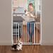 Dreambaby Ava Pressure Mounted Security Gate w/Extensions Metal in White | 30 H x 39.5 W x 2 D in | Wayfair L2097BB