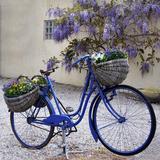 Fleur De Lis Living Blue Bike Outdoor Wall Decor All-Weather Canvas, Stainless Steel | 24 H x 24 W x 1.5 D in | Wayfair