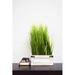 Ophelia & Co. Artificial Desktop Grass w/ Wooden Plant in Pot Wood/Plastic in Brown | 19 H x 9 W x 5.8 D in | Wayfair
