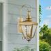 Darby Home Co Philip Water Glass Outdoor Wall Lantern Brass/Glass/Metal in Yellow | 21.5 H x 8.5 W x 10 D in | Wayfair