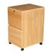 Winston Porter Balido 2-Drawer Mobile File Cabinet Wood in Brown | 28 H x 15.88 W x 19.5 D in | Wayfair 7699154