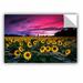 East Urban Home Sunflower Sunset Removable Wall Decal Metal in Green/Pink | 32 H x 48 W in | Wayfair 0yor173a3248p