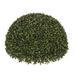 Winston Porter Artificial Boxwood Half Ball Topiary Plastic | 10 H x 19 W x 19 D in | Wayfair 6C0770FACB344EF9AD68C4B22170088F