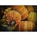 Brown 24 x 0.35 in Indoor Area Rug - East Urban Home Pumpkins Cotton Area Rug Cotton | 24 W x 0.35 D in | Wayfair D1764389FBF24DA6907623420BB0D607