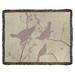 East Urban Home John James Audubon Winged Starling Cotton Throw Cotton | 52 W in | Wayfair 7B3B63021E4F40E689A67F7B16BCBCBF