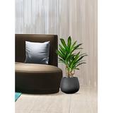 Beachcrest Home™ Dracaena 35" Artificial Dracaena Plant in Pot Silk/Plastic | 35 H x 15 W x 15 D in | Wayfair 3FBD555120B14A909BBA9FAF804AFA06