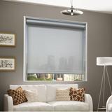 Ebern Designs Semi-Sheer Roller Shade Synthetic Fabrics in White | 18.5",36" | Wayfair C5170AFC30AE469D990D979931E9B0B8