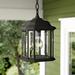 Sol 72 Outdoor™ Brookland 1 -Bulb 10.5" H Outdoor Hanging Lantern Glass/Metal in Black | 10.5 H x 6.5 W x 6.5 D in | Wayfair DBYH2725 34623422