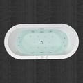 WoodBridge 67" x 32" Freestanding Air/Whirlpool Bathtub Acrylic | 22.88 H x 66.5 W in | Wayfair B0030 + F-0002